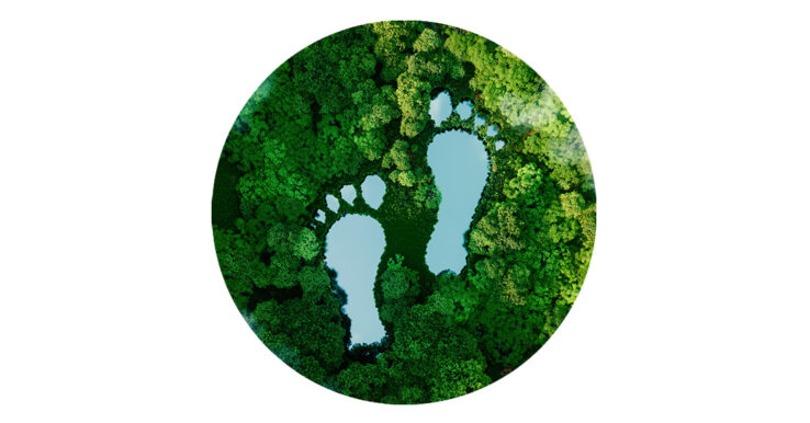 Luchtfoto van een groen bos met twee voetafdrukken uitgespaard tussen de bomen als symbool voor ecologische voetafdruk.