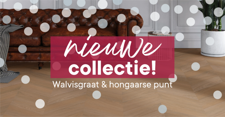 walvisgraat en hongaarse punt 2023