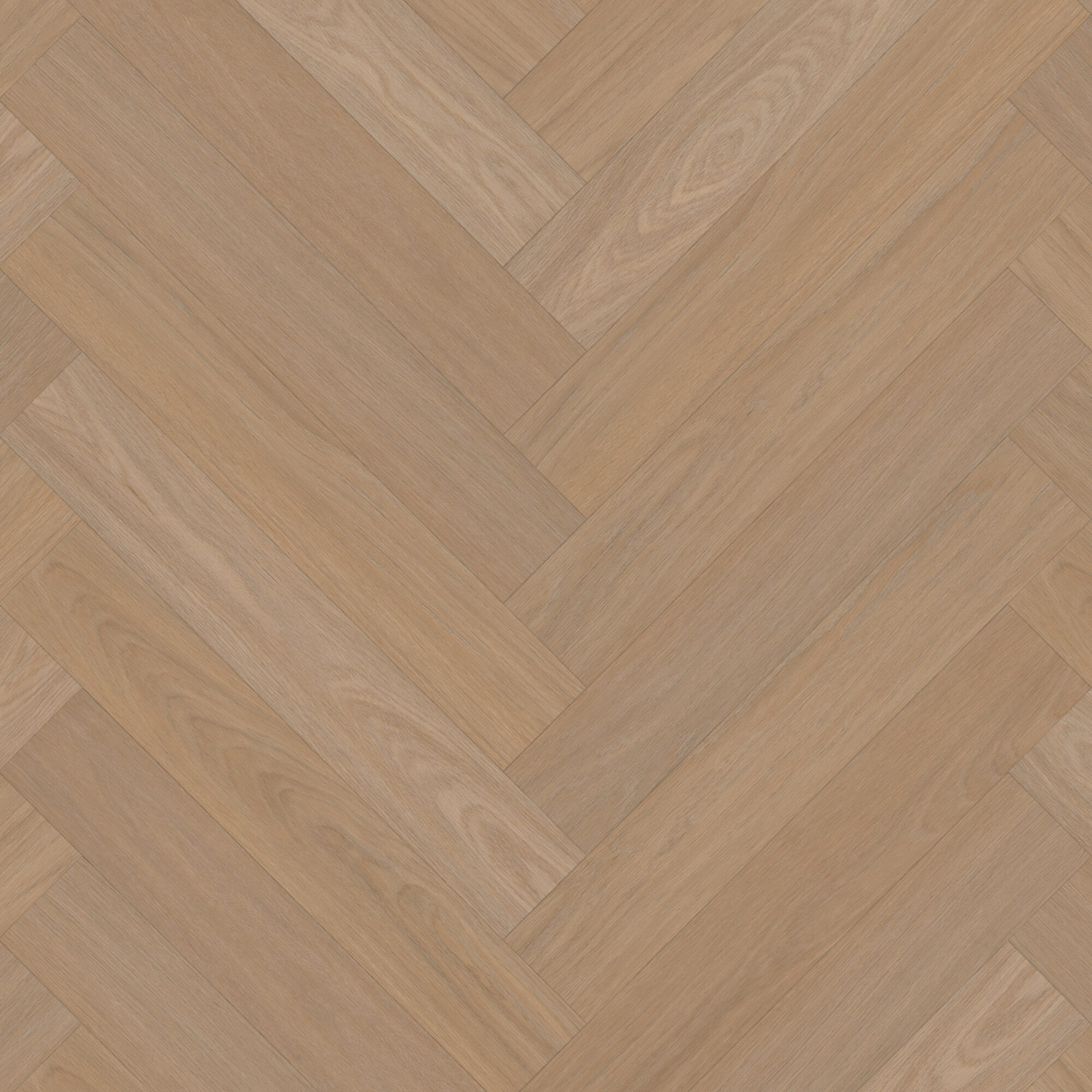 walvisgraat 7870 vivafloors