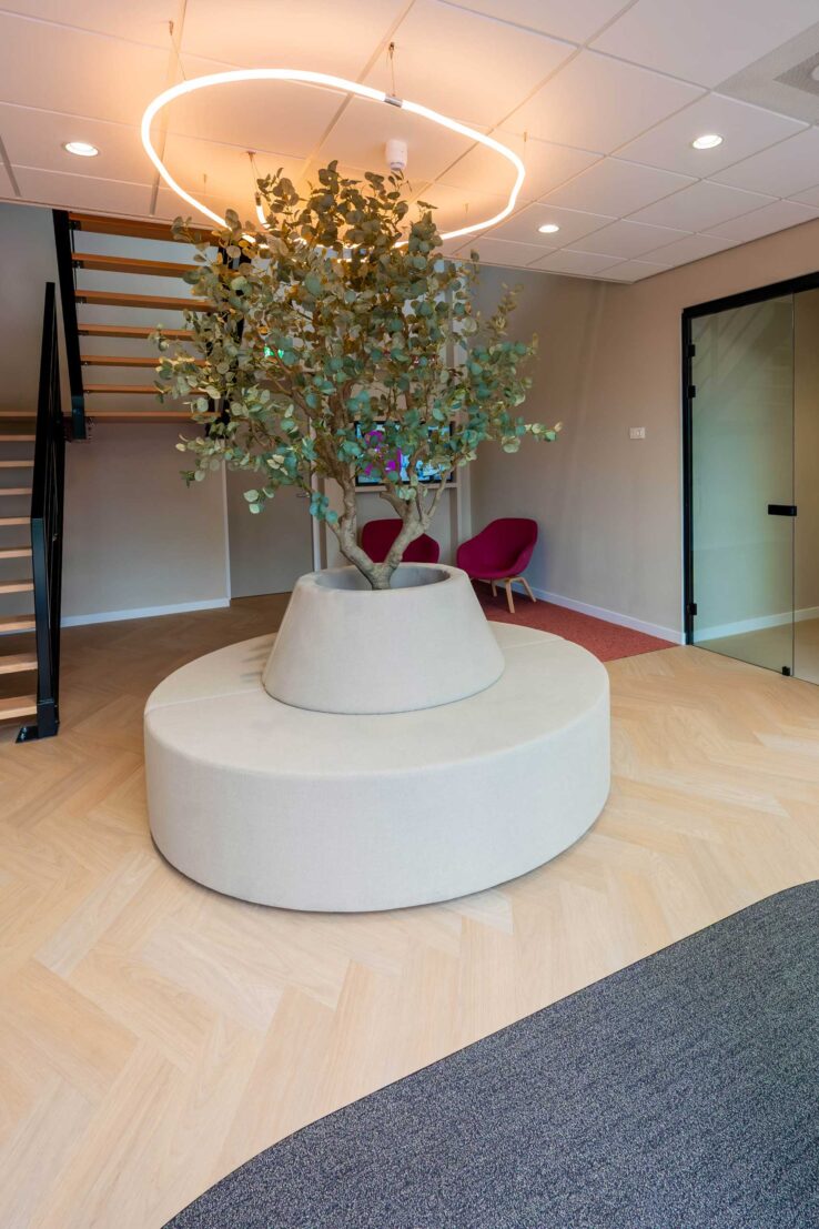 Entree met ronde witte zitbank rond een boom, lichtring en lichte visgraatvloer bij Vivafloors