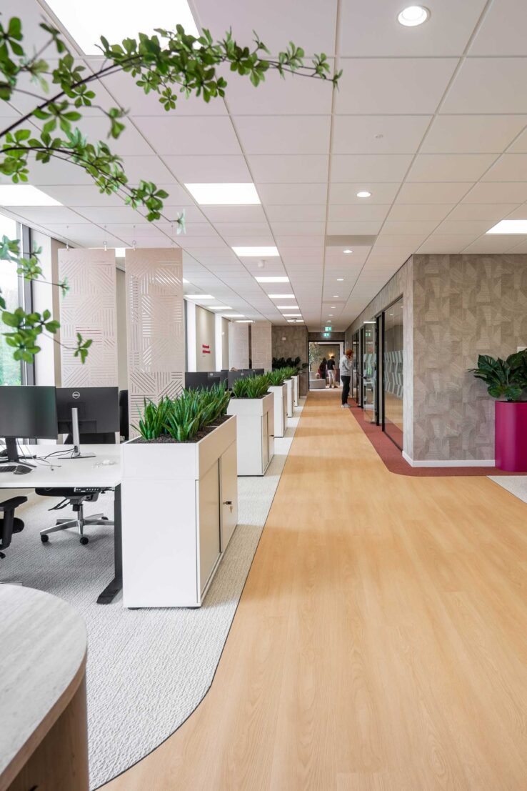 Kantoorgang met werkplekken, planten en lichte houten vloer in het Vivafloors pand
